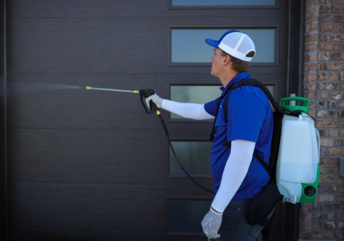 The Benefits of Professional Pest Control in Arizona